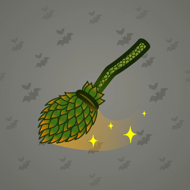 Flying Broom