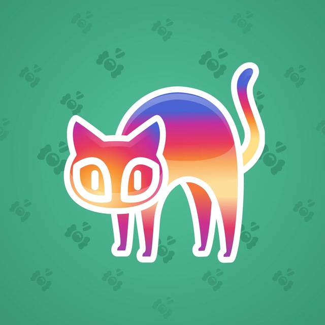 Scared Cat